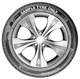 LT265/65R17 120/117S 4x4 AT70